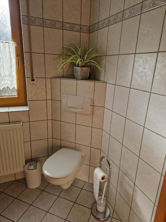 Ferienwohnung Moselzeit Alken Eksteriør billede